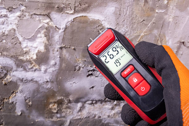 Best Best Mold Removal Companies  in Bernie, MO