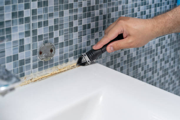 Best Mold Removal Near Me  in Bernie, MO
